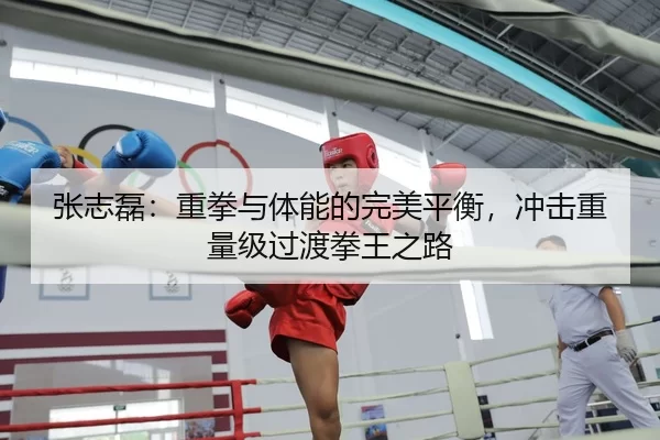张志磊：重拳与体能的完美平衡，冲击重量级过渡拳王之路