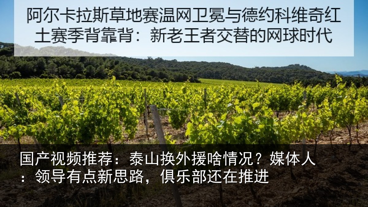 国产视频推荐:泰山换外援啥情况?媒体人:领导有点新思路,俱乐部还在推进
