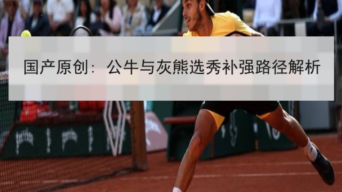 国产原创: 公牛与灰熊选秀补强路径解析