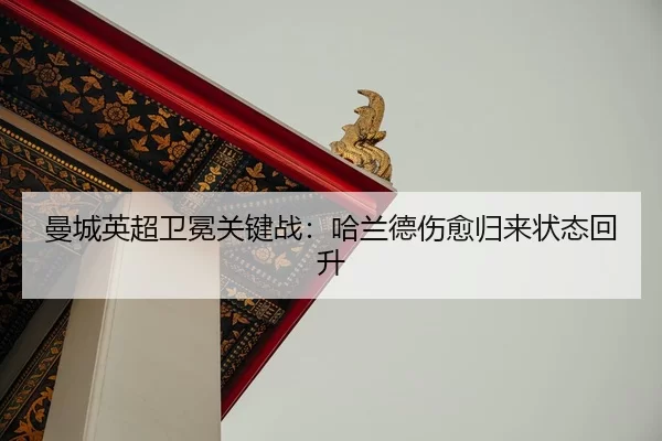 man-cheng-ying-chao-wei-mian-guan-jian-zhan-ha-lan-de-shang-yu-gui-lai-zhuang-tai-hui-sheng-2-521.jpg