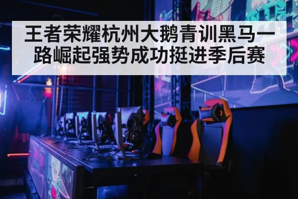 王者荣耀杭州大鹅青训黑马一路崛起强势成功挺进季后赛